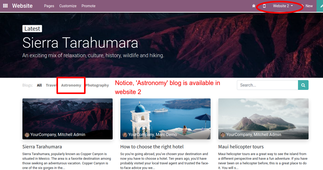 Multi website selection for blog
